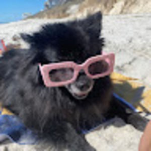 Meet your Posher, Addie